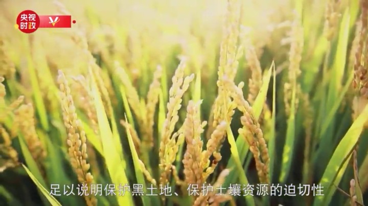 保护黑土地