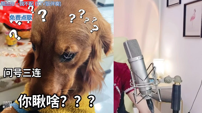 【颜值（横屏）】仔仔呐Zz的精彩时刻 20220617 22点场