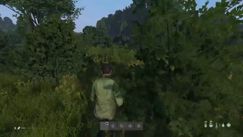 【2022-06-16 19点场】dayz韩爱东西：I am friendly