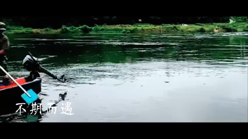 《不期而遇的风》野王2猪猪