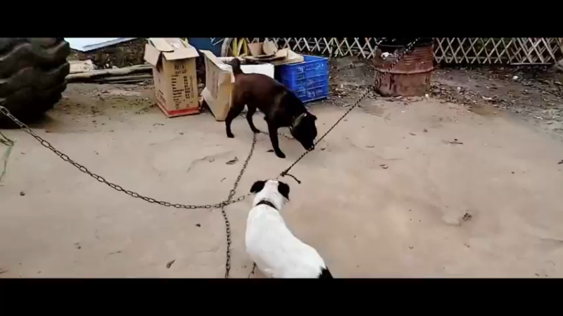 《念念不忘》