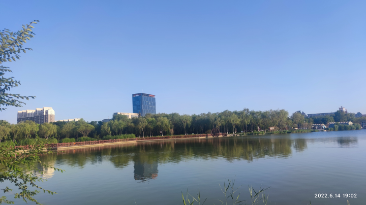 你时常记得，在仲夏夜的风里，你们坐在院子里乘凉，夜风袭来，树