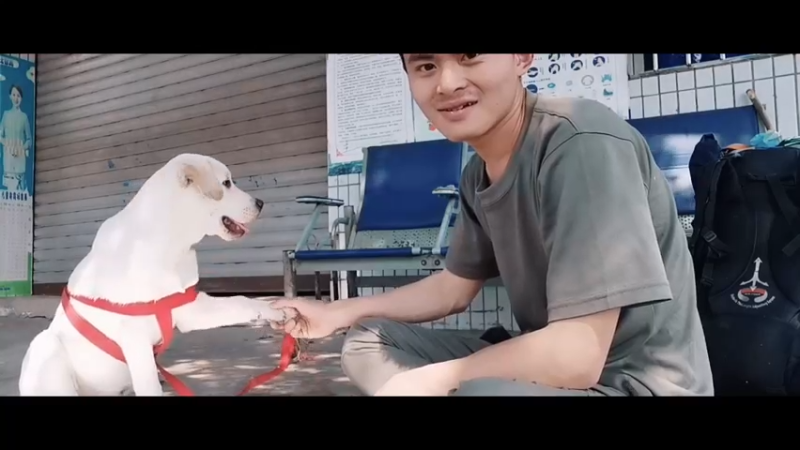 《少年依然在》大根徒步