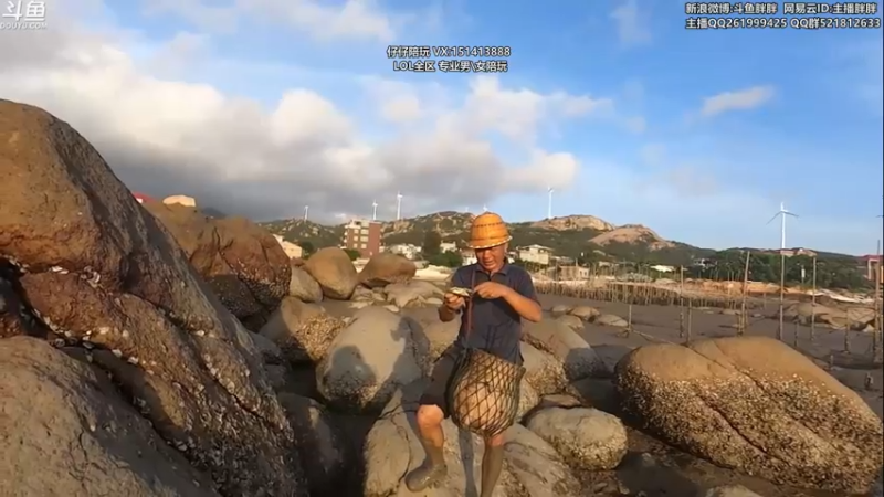 【2022-06-18 03点场】胖胖灬：胖胖OB：韩服 小虎 VS Faker