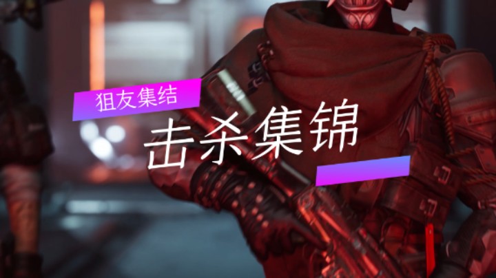 狙友集结：击杀集锦