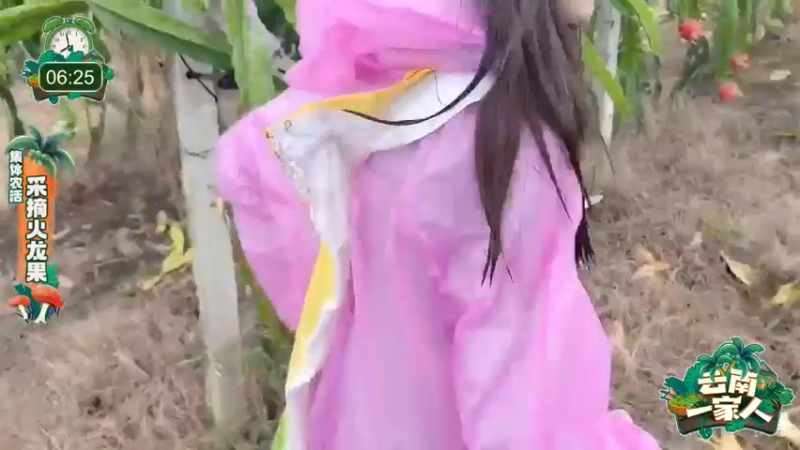 【2022-06-17 13点场】douyu小漠：云南一家人 Day2 85982