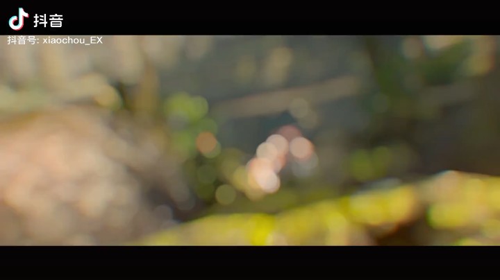 职业选手集锦
