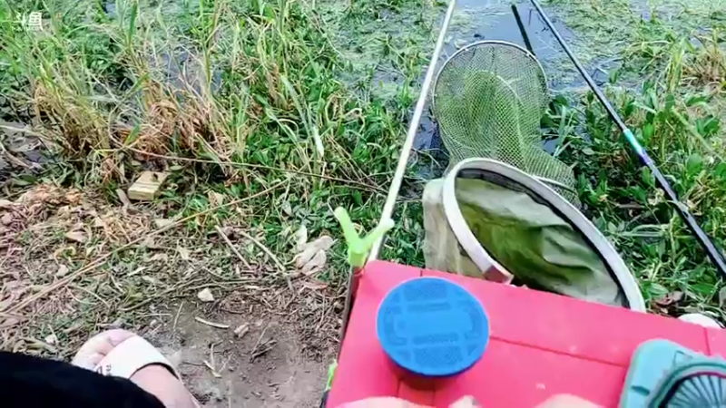 【2022-06-18 19点场】郑伟丶：娱乐性技术主播