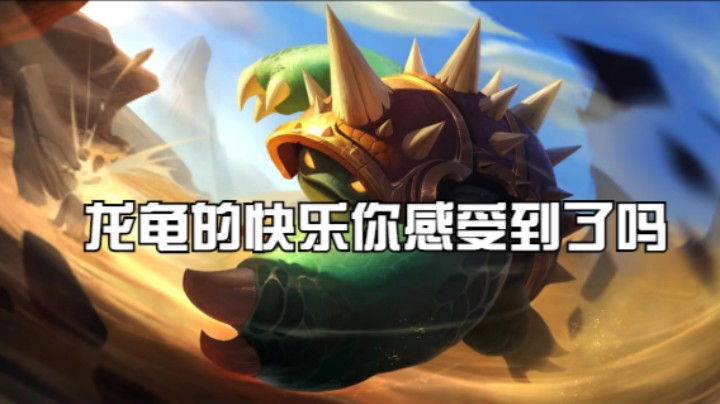 龙龟的快乐你感受到了吗