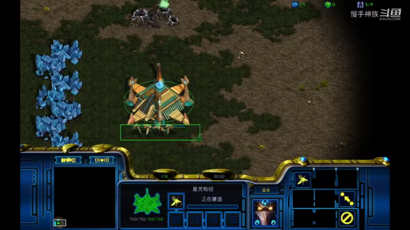 pvz-水螅图-正能量影刀偷袭-慢手神族-星际争霸2022-7-4