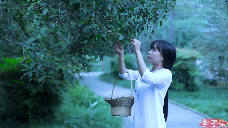 【美食】李子柒liziqi的精彩时刻 20220619 22点场