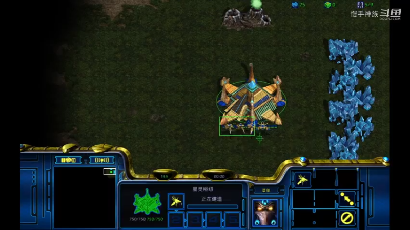 pvz-水螅4人图-正能量打法-慢手神族-星际争霸2022-06-19