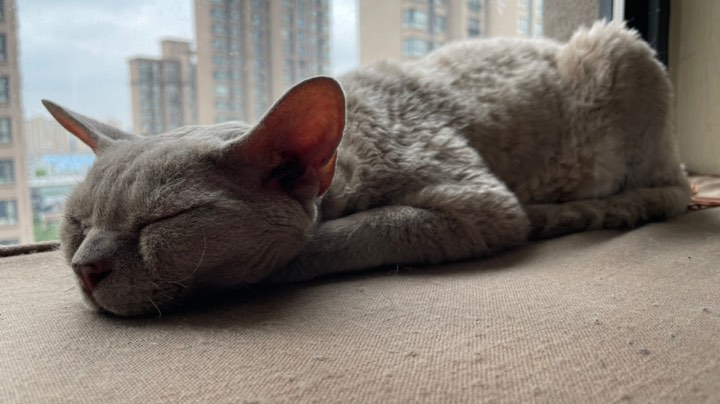 2团穆鲁开荒成功