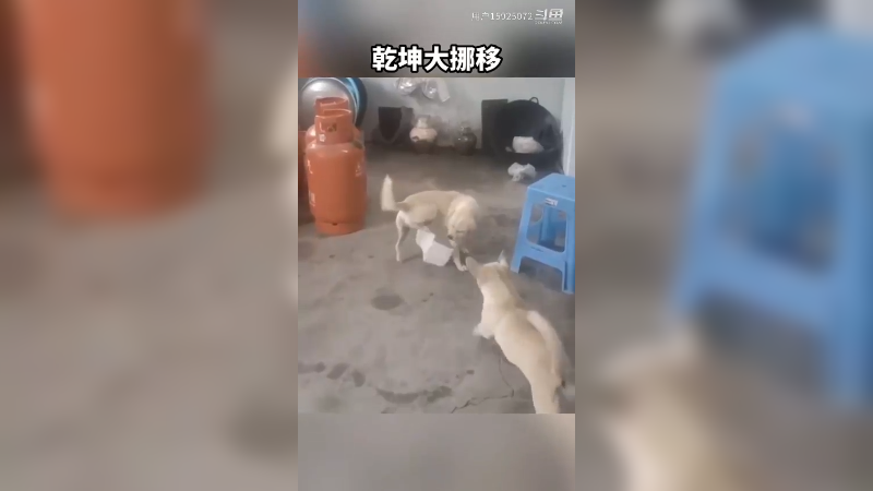 就没见过这么干的，真是些奇人。
