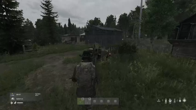 【2022-06-20 17点场】dayz韩爱东西：我的奇葩队友-坦克不出肉，刺客送人头