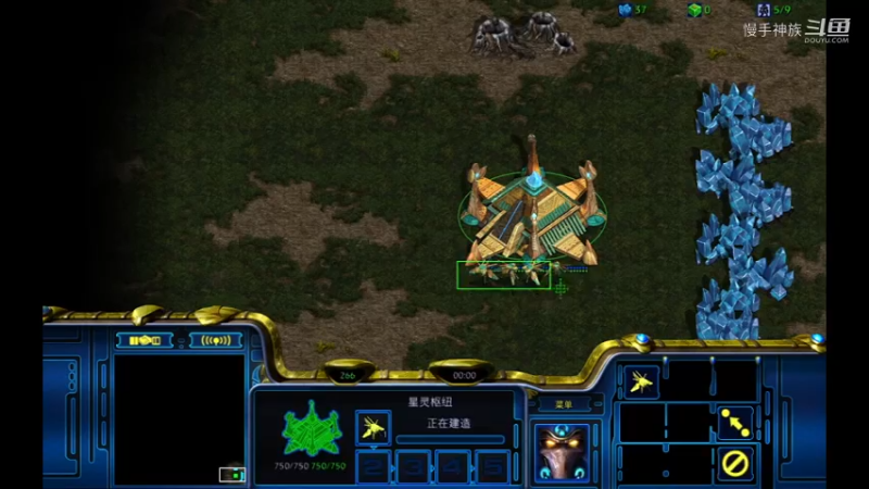 pvz-斗魂-正能量应对973打法-慢手神族-星际争霸2022-06-20