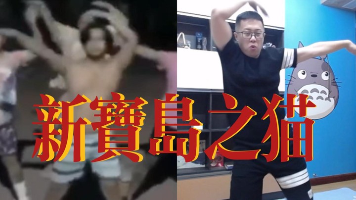 【大龙猫】新宝岛之猫