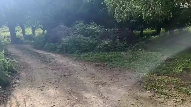 【2022-06-19 17点场】叶子户外：《纪实直播》西藏→南迦巴瓦