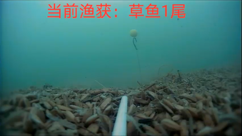 【2022-06-22 17点场】中华户外钓鱼：618钜惠开播啦