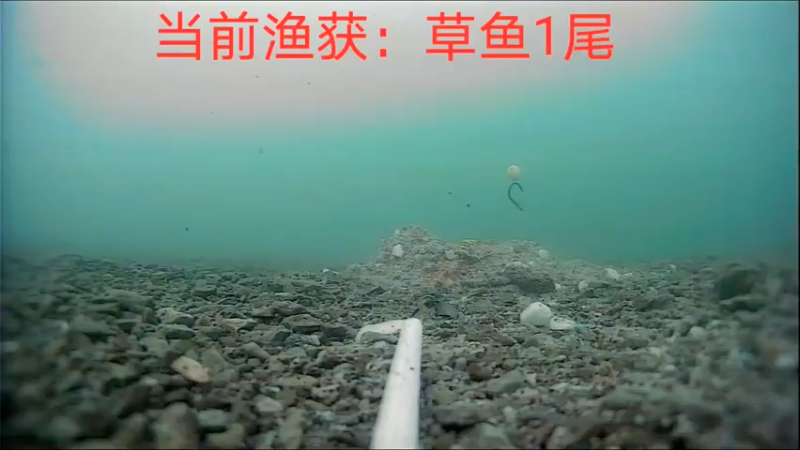 【2022-06-22 15点场】中华户外钓鱼：618钜惠开播啦