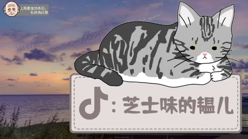 【2022-06-21 16点场】芝士味的韫儿：你说紫色很有韫味！nono摆烂！！
