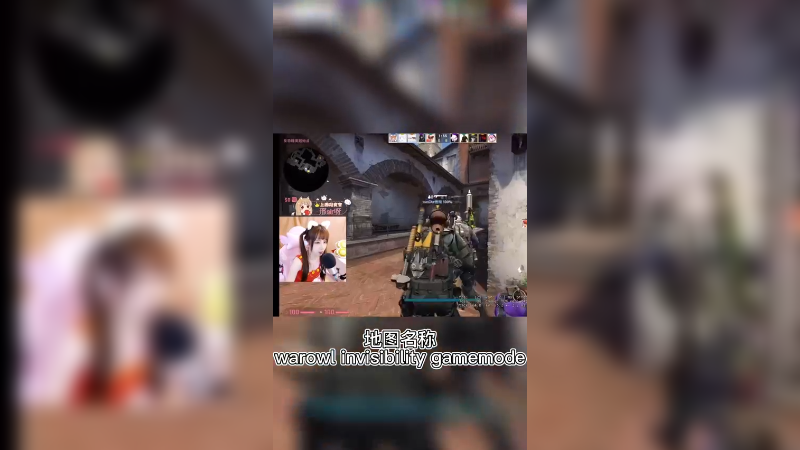 【csgo游戏日常】你们要的隐身gogo图来啦~
