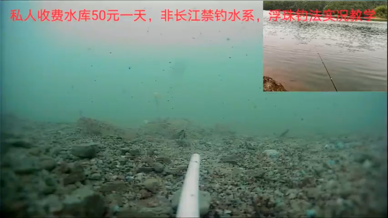 【2022-06-23 15点场】中华户外钓鱼：500斤隔夜窝开干