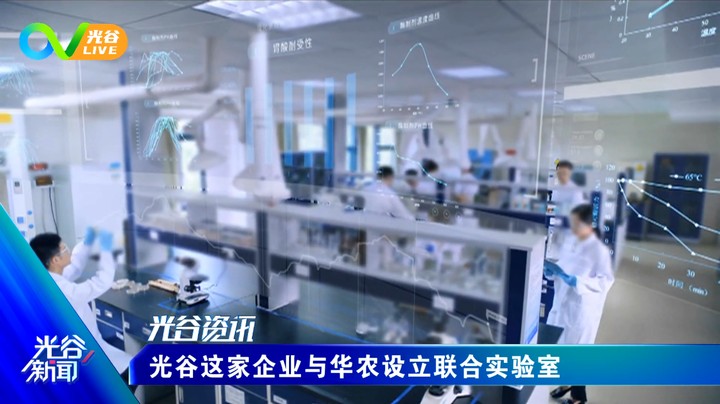 20220621光谷新闻周二版
