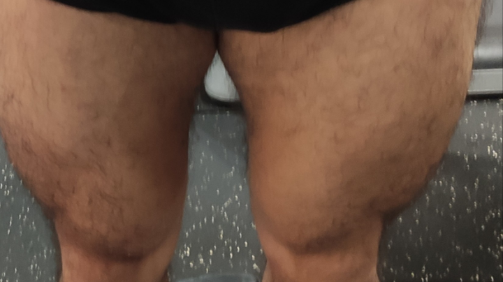 开始长起来了。
