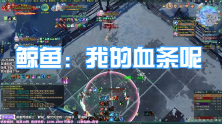 鲸鱼：我的血条呢？