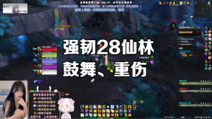 【魔兽世界】强韧28仙林，鼓舞重伤