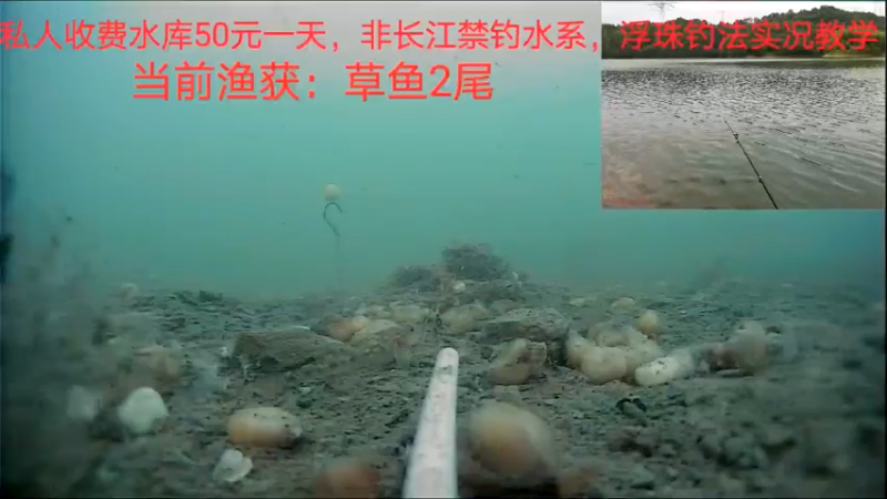 【2022-06-24 16点场】中华户外钓鱼：500斤隔夜窝开干