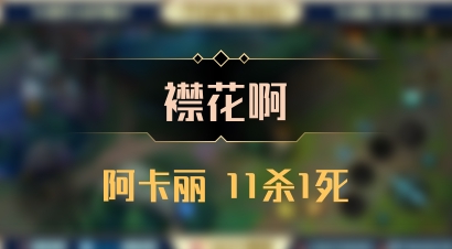 【襟花啊】阿卡丽 11杀1死