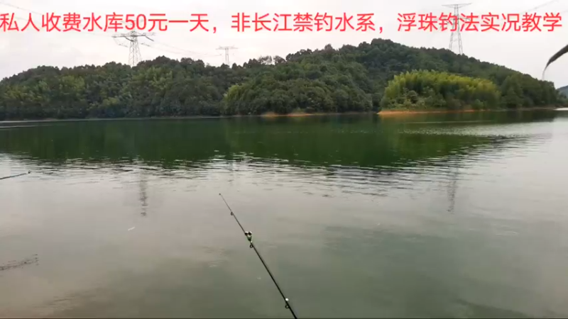 【2022-06-24 14点场】中华户外钓鱼：500斤隔夜窝开干