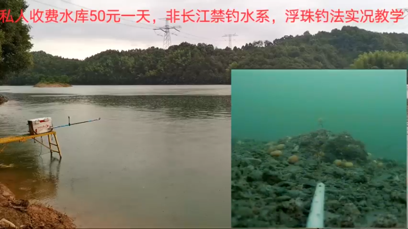 【2022-06-24 10点场】中华户外钓鱼：500斤隔夜窝开干