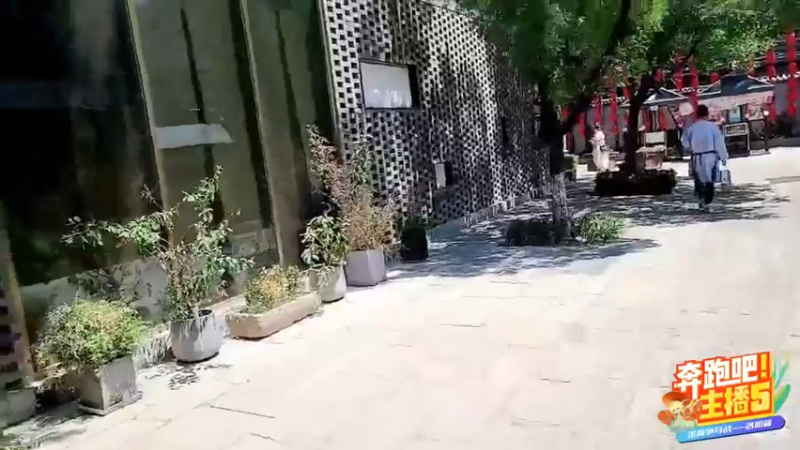 【2022-06-24 13点场】火力堂主：《奔跑吧！主播》day2.牡丹博物馆