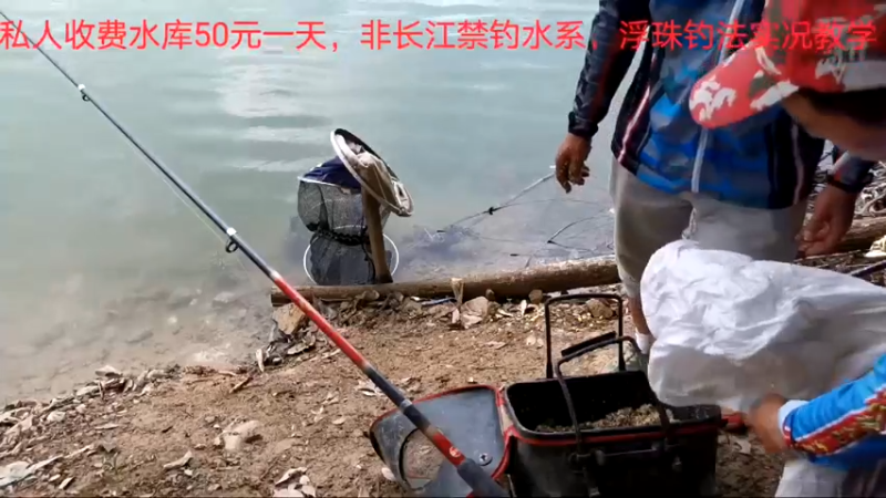 【2022-06-24 18点场】中华户外钓鱼：500斤隔夜窝开干