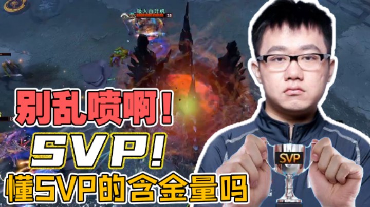 【老鸡】不要乱喷好吧！我SVP啊！懂SVP的含金量吗！