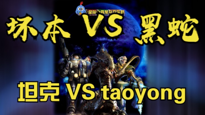 坏本VS 黑蛇、坦克 VS taoyong