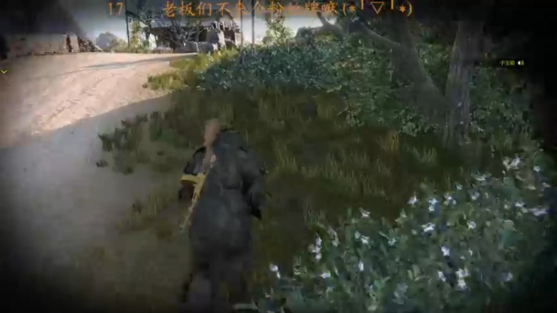 【2022-06-24 20点场】虾仁红糖芝麻酱：大脑发育不完全，小脑完全不发育