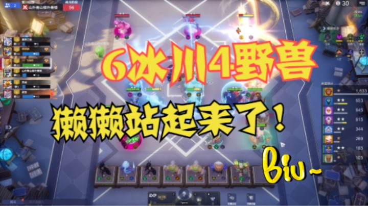 6冰川4野兽，獭獭似乎有了一丝存在感