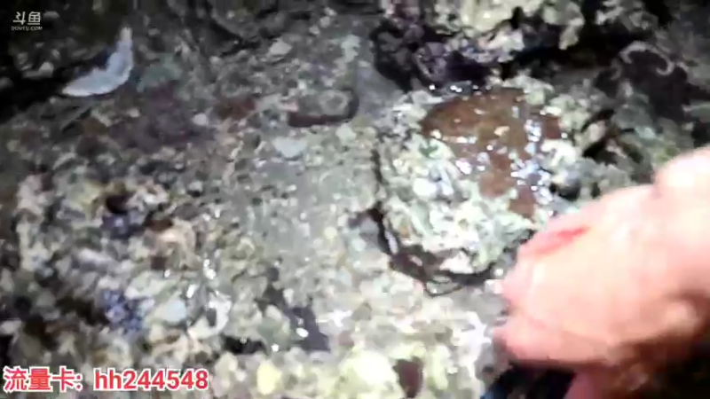 【2022-06-23 23点场】叶子户外：广东湛江硇洲岛