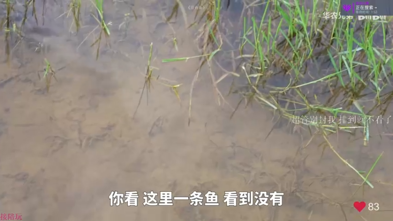 【2022-06-25 13点场】K118吗：双倍亲密度！钻粉ROLL鼠标耳机！！