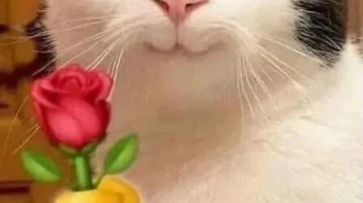回归第一场