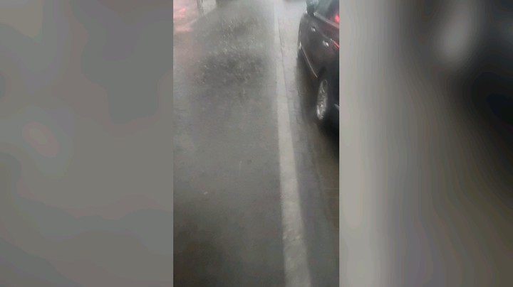 爱吃蛋白的凯磊发布了一个斗鱼视频2022-06-26