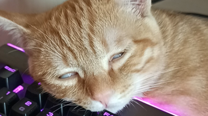 ？
