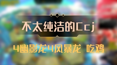 【不太纯洁的Ccj】4幽影龙4风暴龙 吃鸡