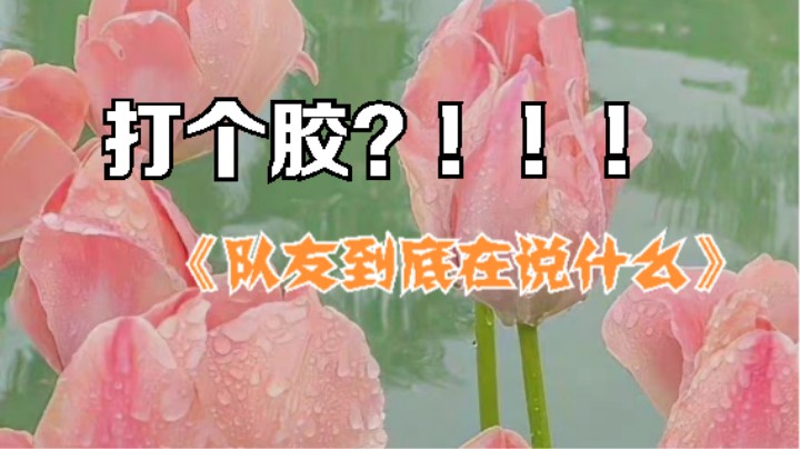 打个胶？？？？