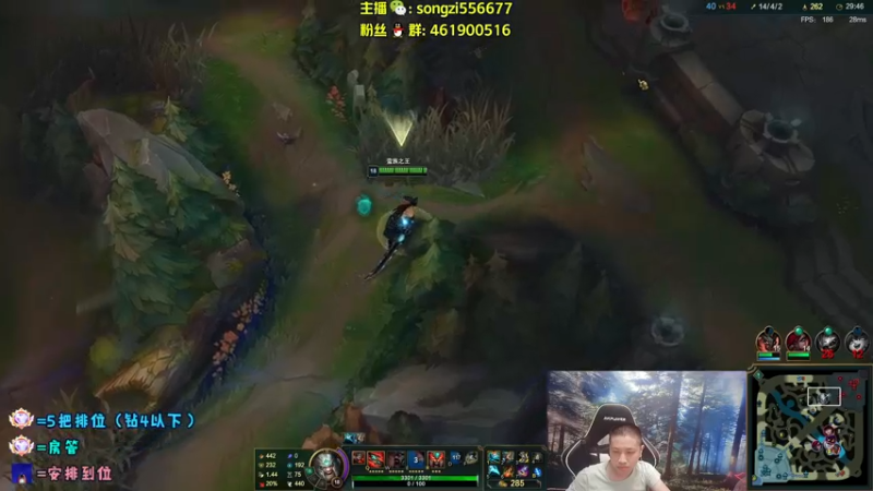 【2022-06-25 23点场】douyu丶松子：蛮王：版本最强 选到=包赢