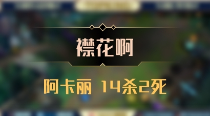 【襟花啊】阿卡丽 14杀2死